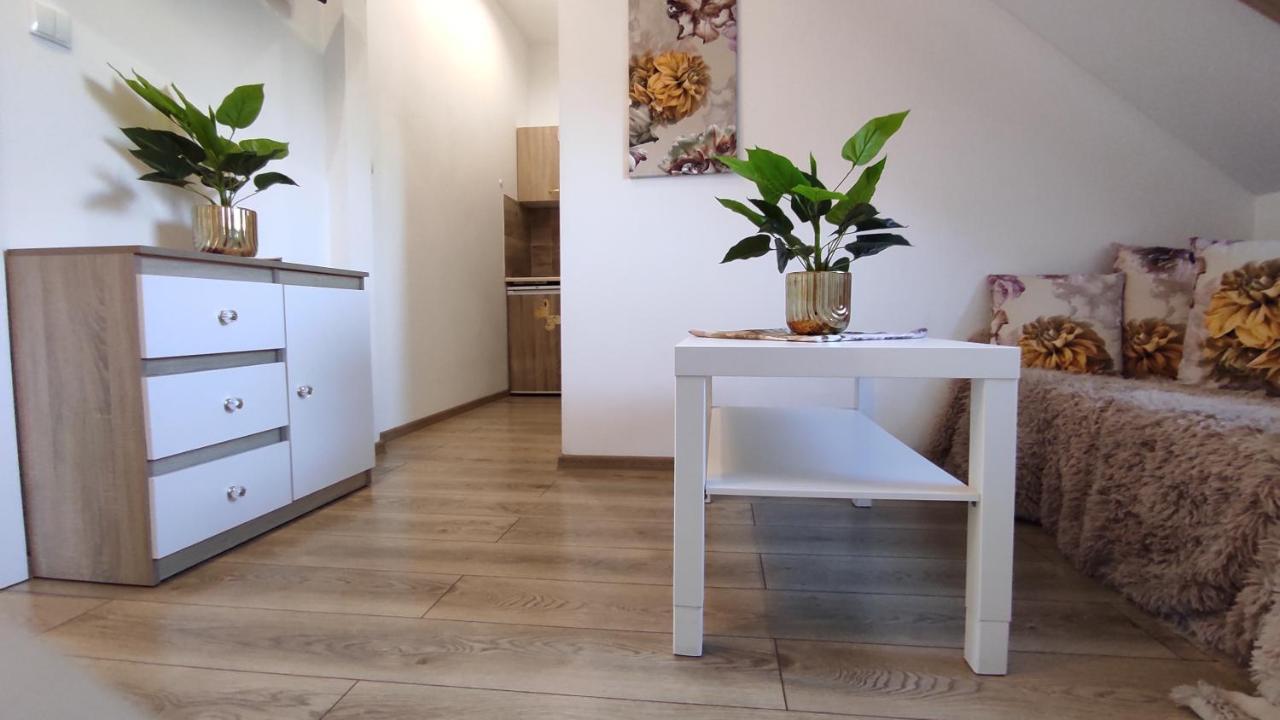 Apartmán Fiona1 Centrum700m Parking Bezplatny Monitorowany Salon Tv Sypialnia Tv Kuchnia Lazienka Rekuperacja